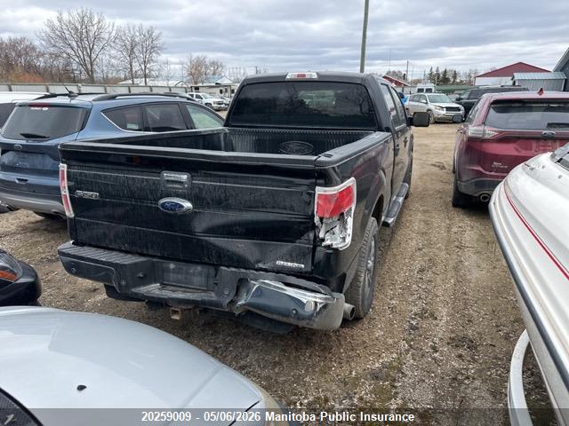 Продаж на аукціоні авто 2013 Ford F150 Xlt Supercrew, vin: 1FTFW1EF8DFB62456, номер лоту: 20259009