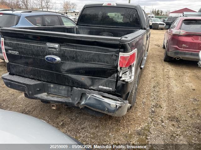 Продаж на аукціоні авто 2013 Ford F150 Xlt Supercrew, vin: 1FTFW1EF8DFB62456, номер лоту: 20259009