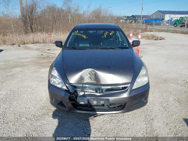 2006 Honda Accord Ex-l მანქანა იყიდება აუქციონზე, vin: 1HGCM568X6A800238, აუქციონის ნომერი: 20259017
