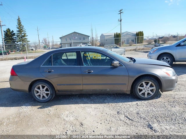 2006 Honda Accord Ex-l მანქანა იყიდება აუქციონზე, vin: 1HGCM568X6A800238, აუქციონის ნომერი: 20259017