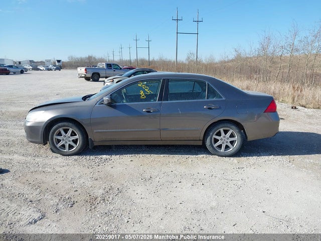 2006 Honda Accord Ex-l მანქანა იყიდება აუქციონზე, vin: 1HGCM568X6A800238, აუქციონის ნომერი: 20259017