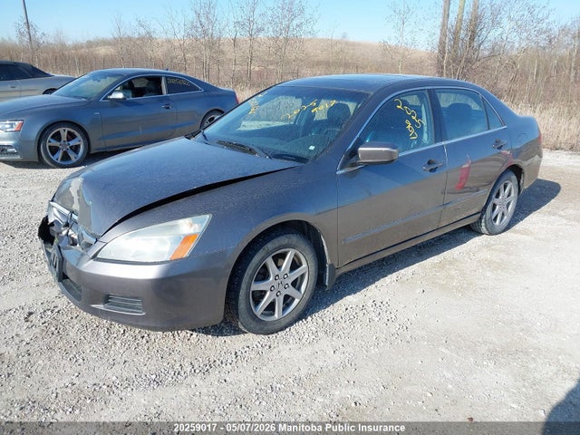 2006 Honda Accord Ex-l მანქანა იყიდება აუქციონზე, vin: 1HGCM568X6A800238, აუქციონის ნომერი: 20259017