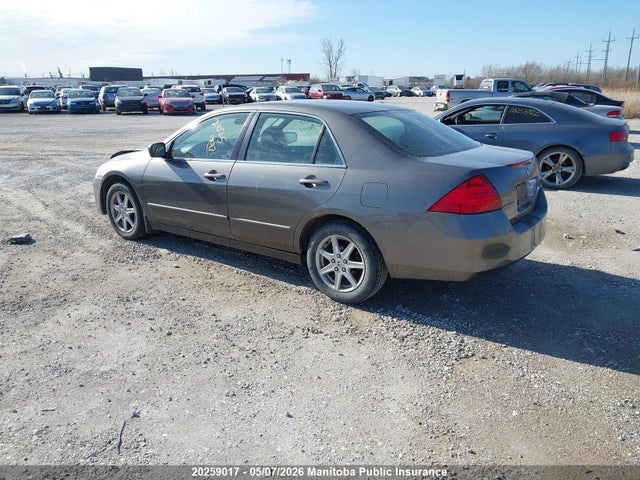 2006 Honda Accord Ex-l მანქანა იყიდება აუქციონზე, vin: 1HGCM568X6A800238, აუქციონის ნომერი: 20259017