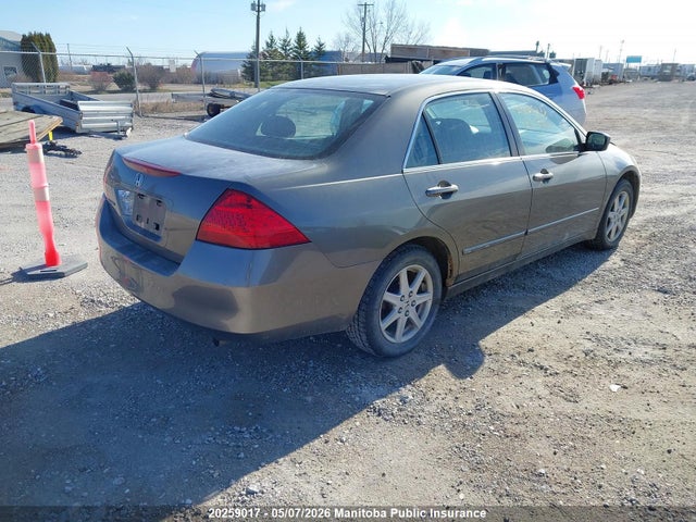 2006 Honda Accord Ex-l მანქანა იყიდება აუქციონზე, vin: 1HGCM568X6A800238, აუქციონის ნომერი: 20259017