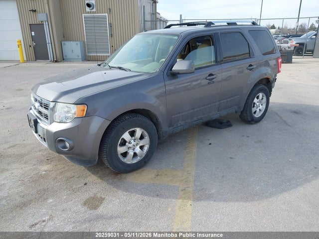 Продаж на аукціоні авто 2011 Ford Escape Limited V6, vin: 1FMCU9EG9BKC68768, номер лоту: 20259031