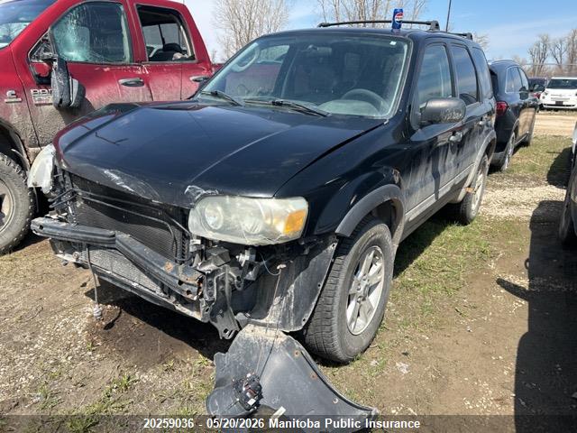 Aukcja sprzedaży 2006 Ford Escape Xlt V6, vin: 1FMYU93116KC70671, numer aukcji: 20259036