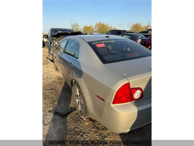20259066 :رقم المزاد ، 1G1ZC5EU9BF178196 vin ، 2011 Chevrolet Malibu Lt مزاد بيع