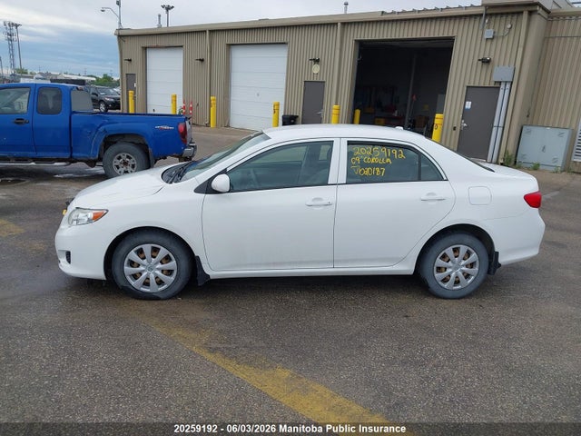 20259192 :رقم المزاد ، 2T1BU40E49C020187 vin ، 2009 Toyota Corolla Ce مزاد بيع