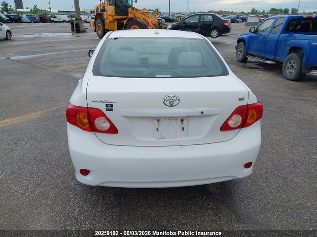 20259192 :رقم المزاد ، 2T1BU40E49C020187 vin ، 2009 Toyota Corolla Ce مزاد بيع