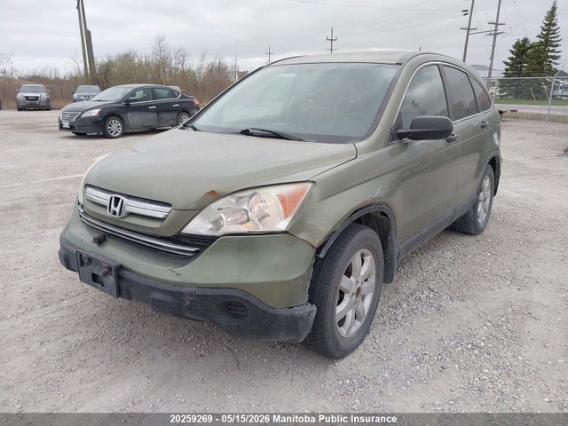 20259269 :رقم المزاد ، 5J6RE48537L806983 vin ، 2007 Honda Cr-v Ex مزاد بيع