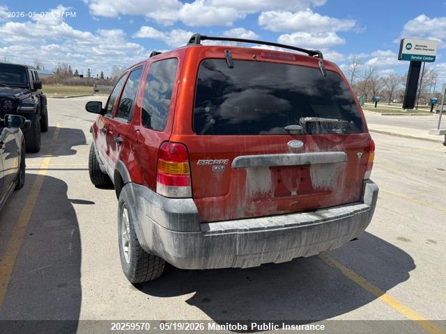 20259570 :رقم المزاد ، 1FMYU93116KA31444 vin ، 2006 Ford Escape Xlt V6 مزاد بيع
