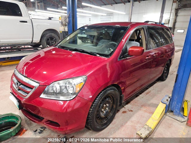 Продажа на аукционе авто 2005 Honda Odyssey Ex, vin: 5FNRL38475B501726, номер лота: 20259718