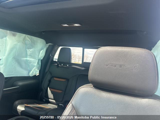 Продаж на аукціоні авто 2019 Gmc Sierra 1500 At4 Crew Cab, vin: 1GTP9EEL2KZ278370, номер лоту: 20259780