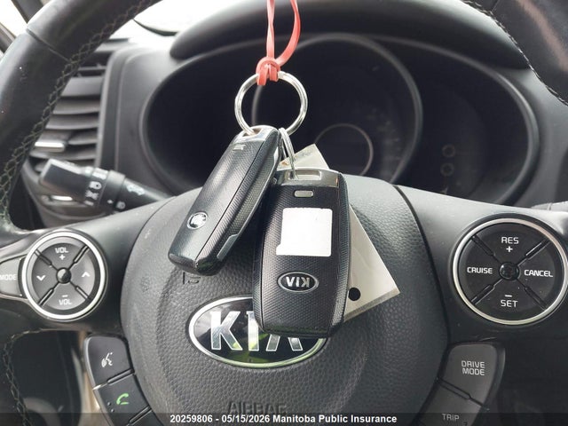 Aukcja sprzedaży 2017 Kia Soul Ex, vin: KNDJP3A52H7486390, numer aukcji: 20259806