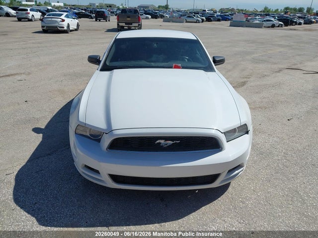 Ford Mustang 2014 1ZVBP8AM4E5225212 Image 12