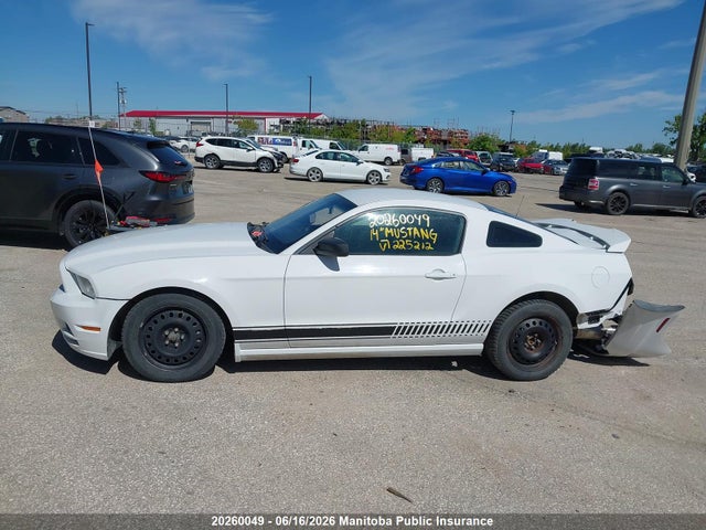 Ford Mustang 2014 1ZVBP8AM4E5225212 Image 14