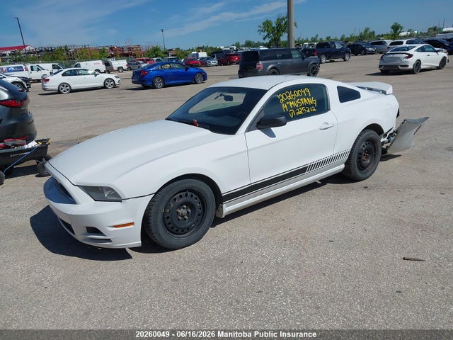Ford Mustang 2014 1ZVBP8AM4E5225212 Image 2