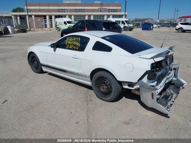 Ford Mustang 2014 1ZVBP8AM4E5225212 Image 3