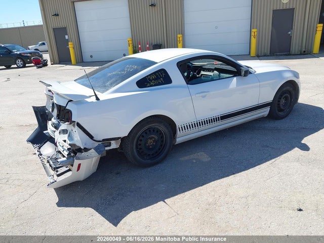 Ford Mustang 2014 1ZVBP8AM4E5225212 Image 4