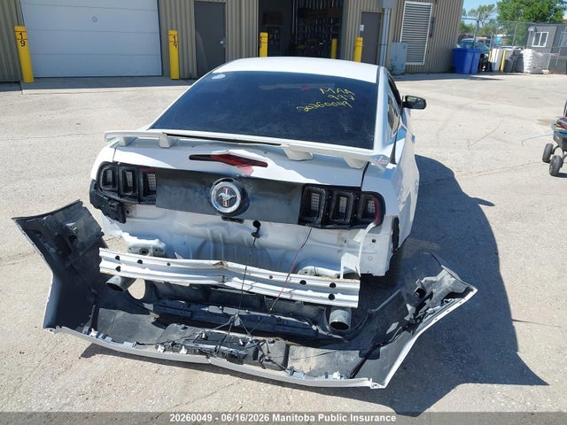 Ford Mustang 2014 1ZVBP8AM4E5225212 Image 6