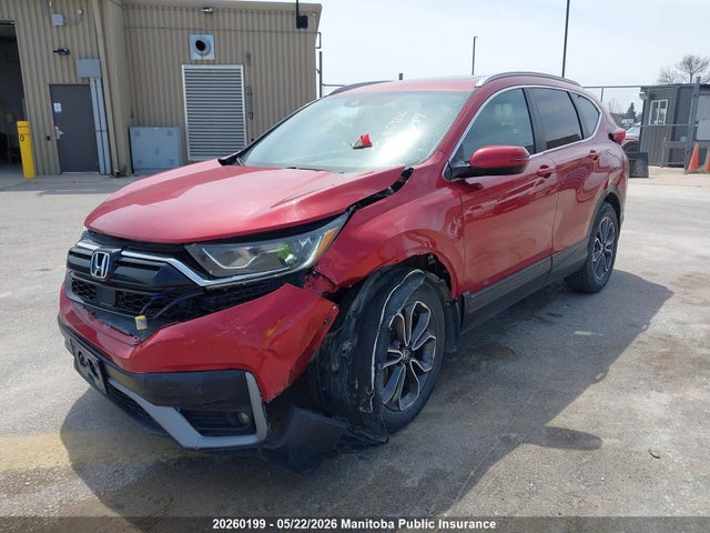 2HKRW2H88LH217380 Honda Cr-v Ex-l