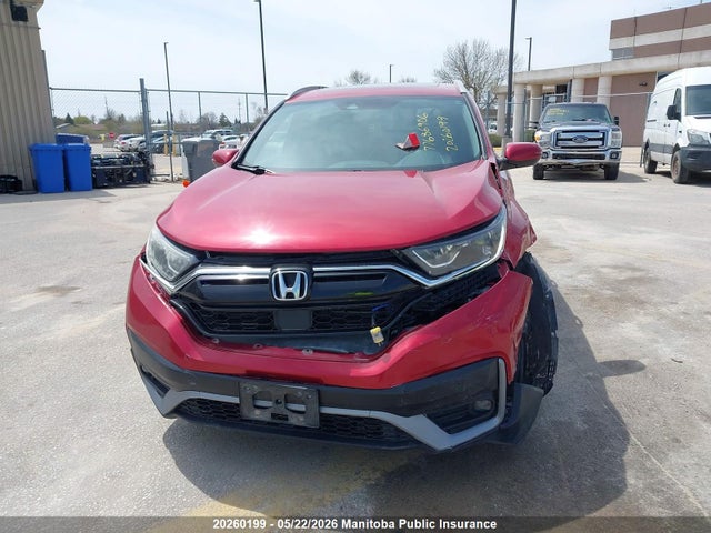 2HKRW2H88LH217380 Honda Cr-v Ex-l
