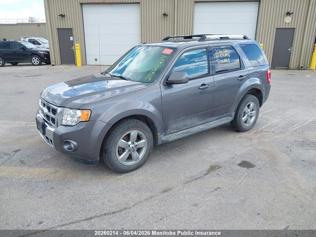 Auction sale of the 2010 Ford Escape Limited V6, vin: 1FMCU9EG4AKD08818, lot number: 20260214