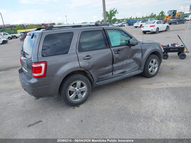 Auction sale of the 2010 Ford Escape Limited V6, vin: 1FMCU9EG4AKD08818, lot number: 20260214
