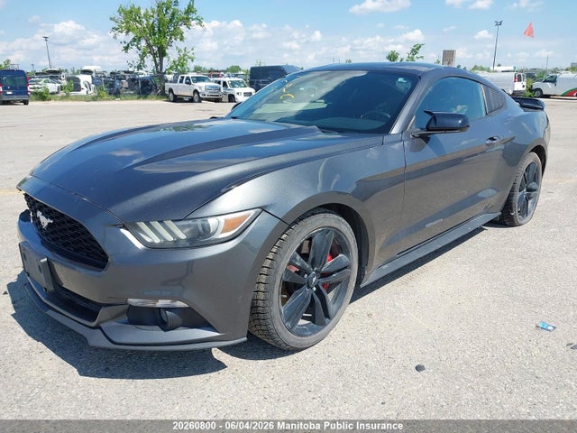 Продаж на аукціоні авто 2016 Ford Mustang, vin: 1FA6P8TH1G5314006, номер лоту: 20260800