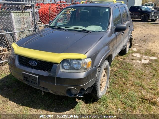 Aukcja sprzedaży 2005 Ford Escape Limited V6, vin: 1FMYU94195KC89613, numer aukcji: 20260981