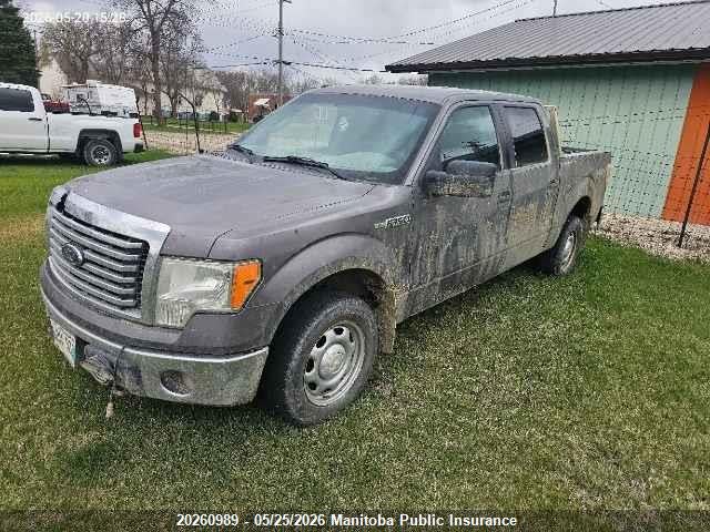 2014 Ford F150 Xlt Supercrew მანქანა იყიდება აუქციონზე, vin: 1FTFW1EF1EKF99157, აუქციონის ნომერი: 20260989