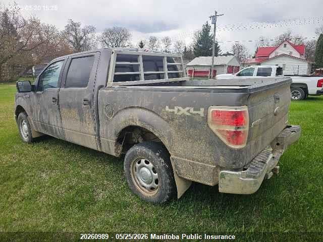 2014 Ford F150 Xlt Supercrew მანქანა იყიდება აუქციონზე, vin: 1FTFW1EF1EKF99157, აუქციონის ნომერი: 20260989
