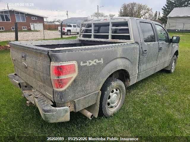 2014 Ford F150 Xlt Supercrew მანქანა იყიდება აუქციონზე, vin: 1FTFW1EF1EKF99157, აუქციონის ნომერი: 20260989