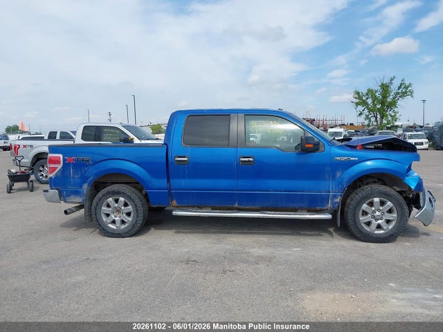 Продаж на аукціоні авто 2013 Ford F150 Xlt Supercrew, vin: 1FTFW1EF0DKE36496, номер лоту: 20261102