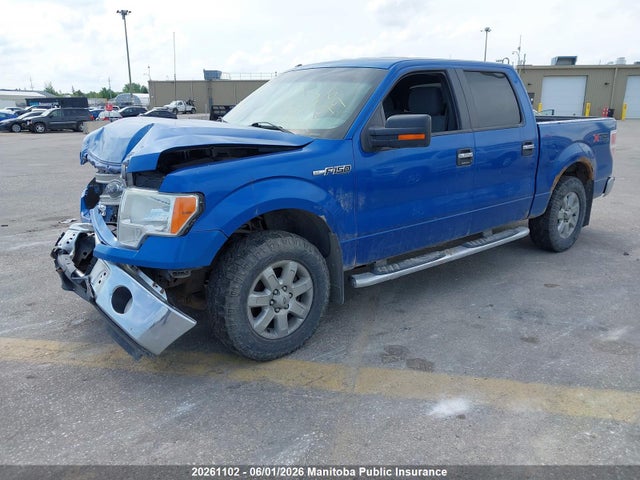 Продаж на аукціоні авто 2013 Ford F150 Xlt Supercrew, vin: 1FTFW1EF0DKE36496, номер лоту: 20261102