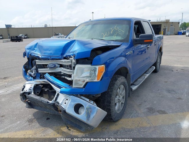 Продаж на аукціоні авто 2013 Ford F150 Xlt Supercrew, vin: 1FTFW1EF0DKE36496, номер лоту: 20261102