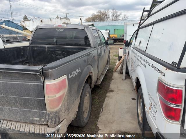 Aukcja sprzedaży 2012 Ford F150 Xlt Supercrew, vin: 1FTFW1EF0CFA30662, numer aukcji: 20261148