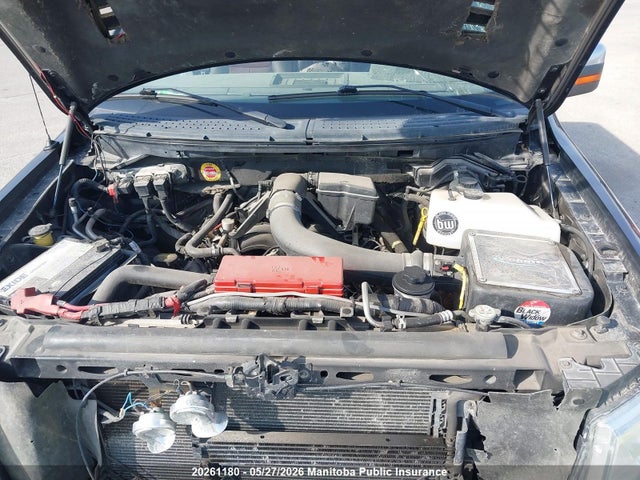 Продаж на аукціоні авто 2010 Ford F150 Lariat Harley Davidson Sc, vin: 1FTFW1EV5AFA46800, номер лоту: 20261180