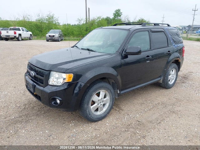 Продаж на аукціоні авто 2011 Ford Escape Limited V6, vin: 1FMCU9DG6BKA29549, номер лоту: 20261258