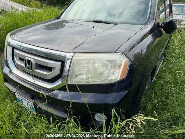 Продаж на аукціоні авто 2009 Honda Pilot Touring, vin: 5FNYF48989B504256, номер лоту: 20261458