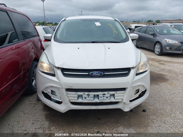 2014 Ford Escape Se მანქანა იყიდება აუქციონზე, vin: 1FMCU0GX5EUD34279, აუქციონის ნომერი: 20261909