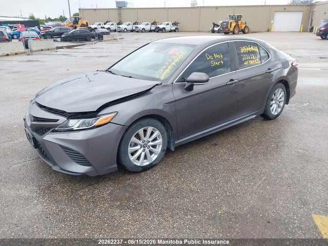 4T1G11AK8LU338885 Toyota CAMRY SE