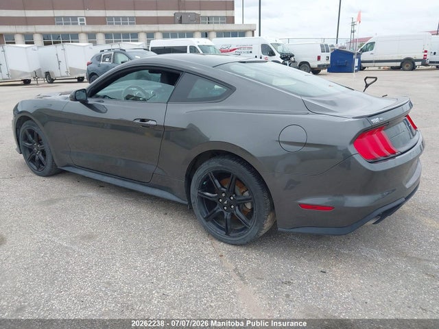Ford Mustang 2018 1FA6P8TH0J5164459 Image 3