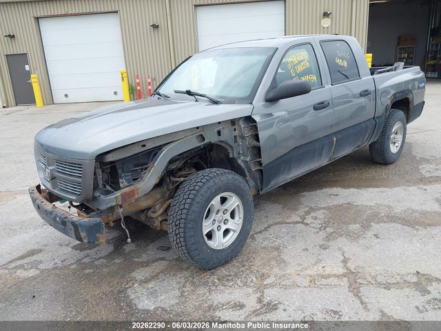 20262290 :رقم المزاد ، 1D7CW3GK2AS264434 vin ، 2010 Dodge Dakota Laramie Crew Cab مزاد بيع
