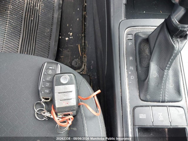 2019 Kia Sorento Lx მანქანა იყიდება აუქციონზე, vin: 5XYPGDA35KG455224, აუქციონის ნომერი: 20262338