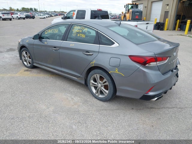 Hyundai Sonata Limited 2019 5NPE34AF4KH769386 Image 3