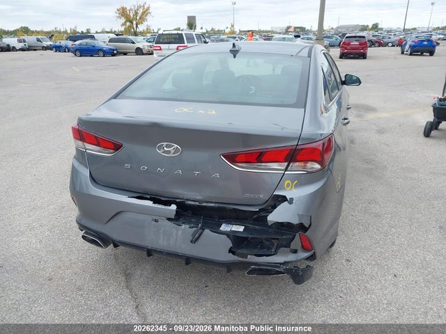 Hyundai Sonata Limited 2019 5NPE34AF4KH769386 Image 6