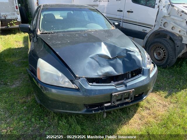 2004 Honda Accord Ex-l მანქანა იყიდება აუქციონზე, vin: 1HGCM56654A813099, აუქციონის ნომერი: 20262525