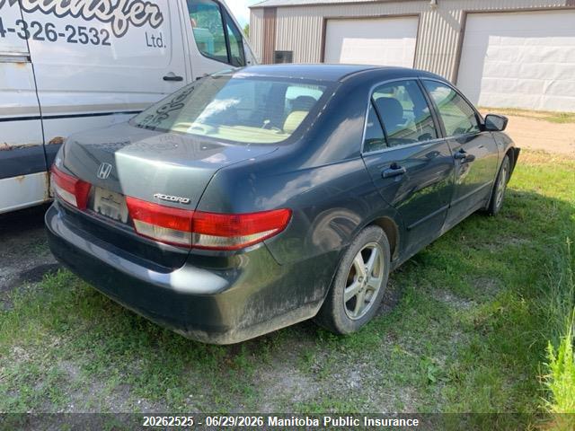 2004 Honda Accord Ex-l მანქანა იყიდება აუქციონზე, vin: 1HGCM56654A813099, აუქციონის ნომერი: 20262525