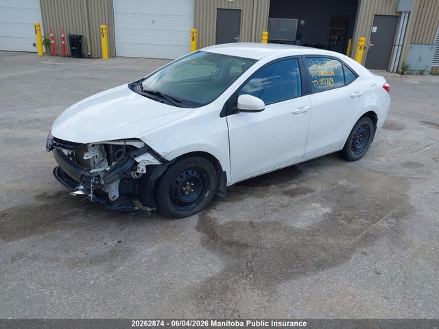 20262874 :رقم المزاد ، 2T1BURHE7EC037769 vin ، 2014 Toyota Corolla Le مزاد بيع